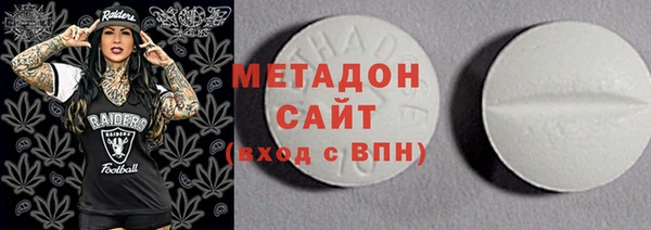 прущие грибы Рославль