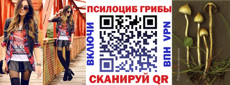 Галлюциногенные грибы Cubensis  Донской 