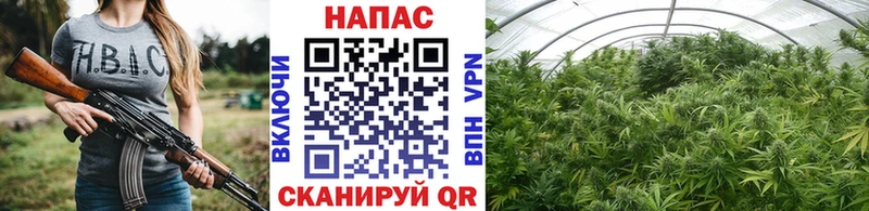 Конопля THC 21% Донской
